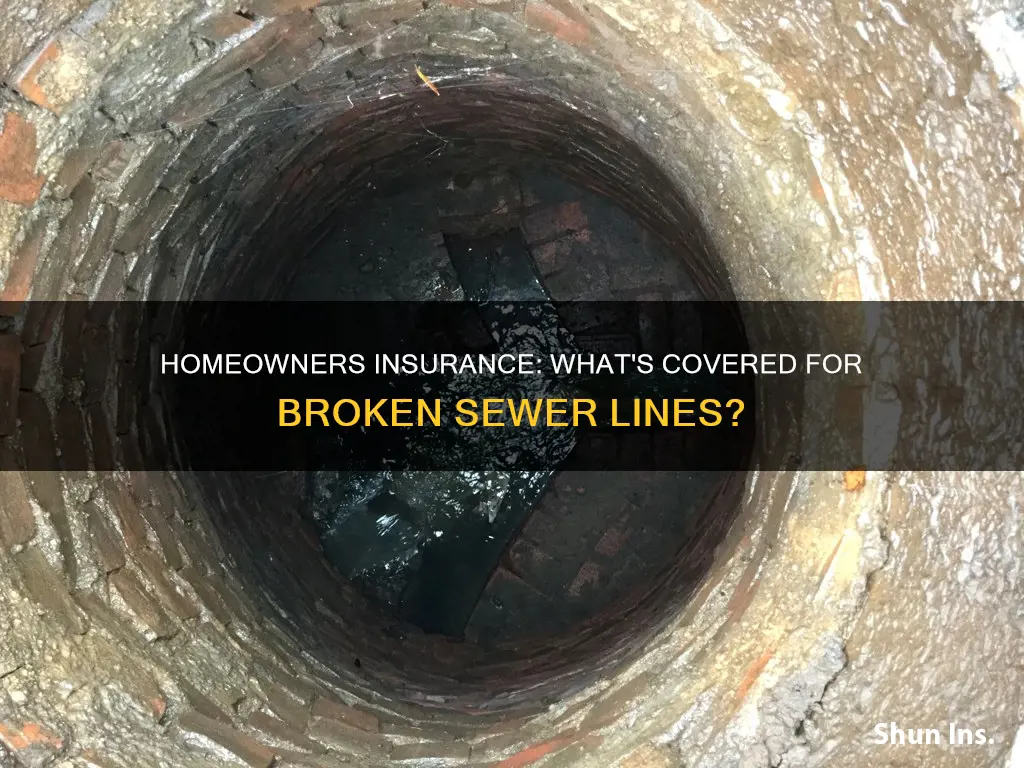 does homeowners insurance cover broken sewer line