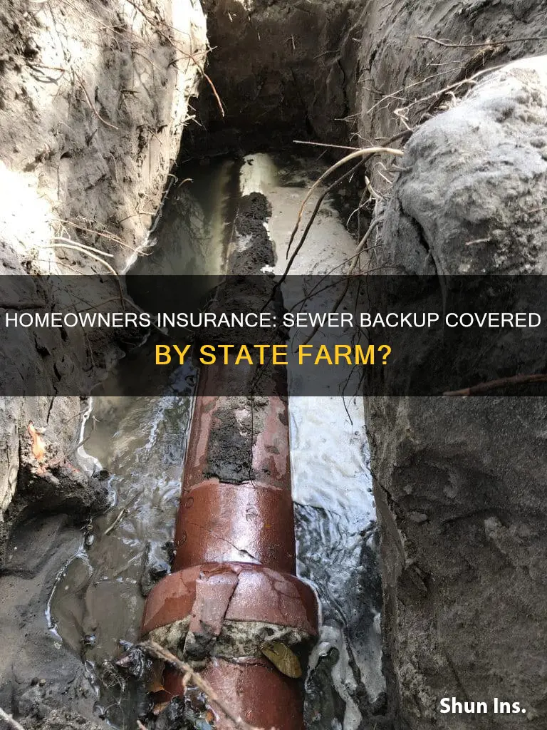 does homeowners insurance cover broken sewer state farm