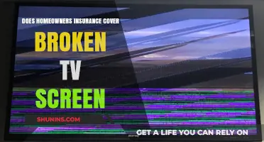 Home Insurance: TV Screen Coverage?