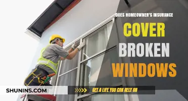 Homeowner's Insurance: What's Covered for Broken Windows?