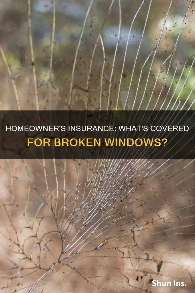 does homeowner