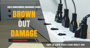 Homeowners Insurance: Brownout Damage Covered?
