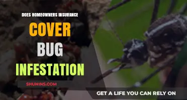 Homeowners Insurance: Bug Infestation Covered?