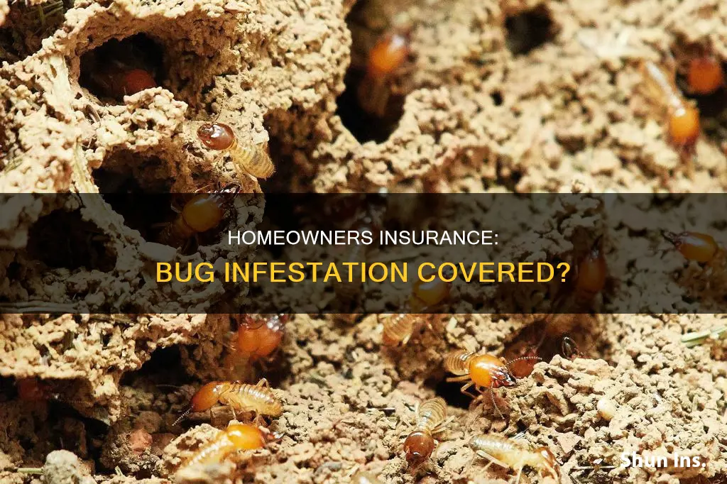 does homeowners insurance cover bug infestation