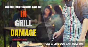 Home Insurance: Built-in Grill Damage Covered?