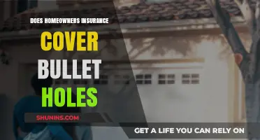 Home Insurance: Bullet Hole Coverage?