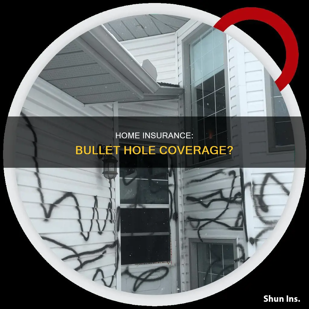 does homeowners insurance cover bullet holes