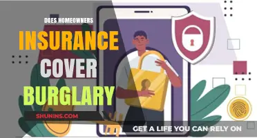Burglary and Home Insurance: What You Need to Know