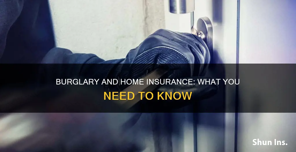 does homeowners insurance cover burglary