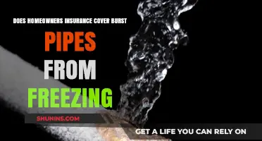 Home Insurance: Burst Pipes, Freezing, and You