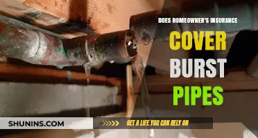 Homeowner's Insurance: What's Covered When Pipes Burst?