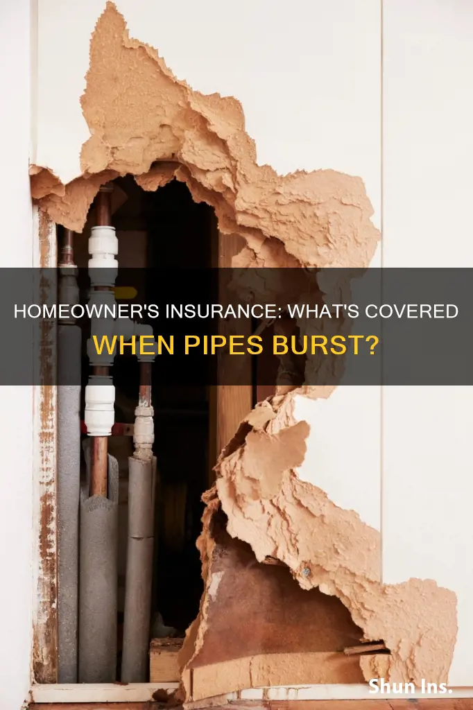 does homeowner