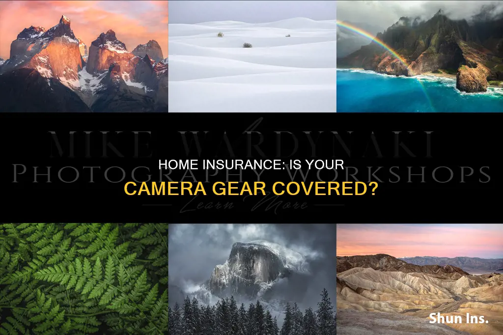 does homeowners insurance cover camera equipment