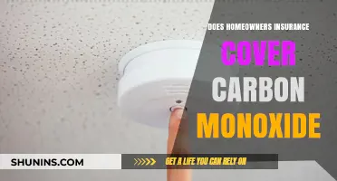 Carbon Monoxide and Home Insurance: What's Covered?
