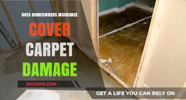 Home Insurance: What Carpet Damage is Covered?