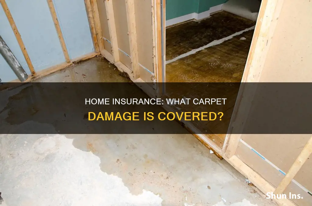does homeowners insurance cover carpet damage