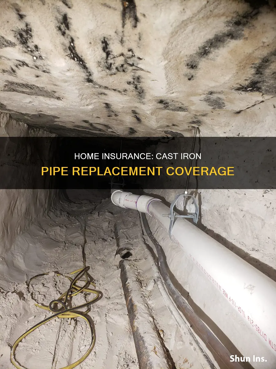 does homeowners insurance cover cast iron pipe replacement