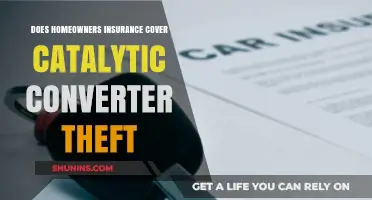 Home Insurance: Protection Against Catalytic Converter Theft?