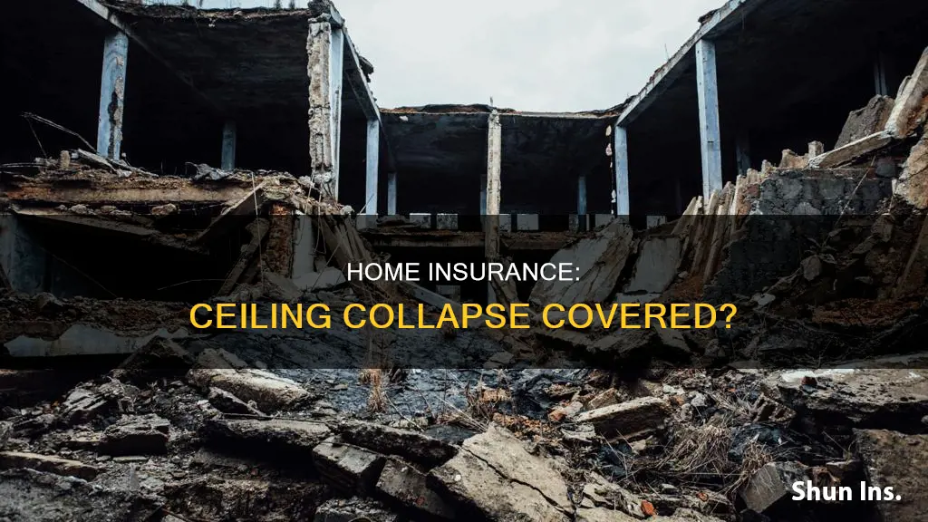 does homeowners insurance cover ceiling collapse