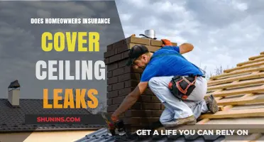Homeowners Insurance: Does It Cover Ceiling Leaks?