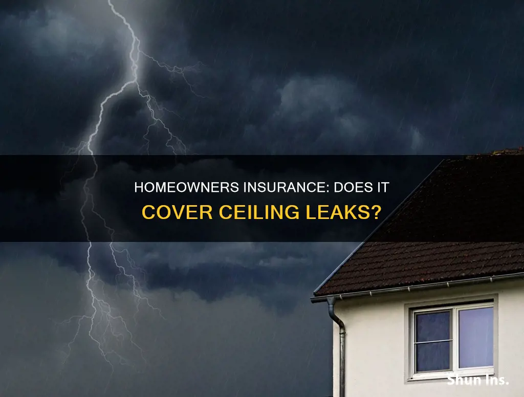 does homeowners insurance cover ceiling leaks