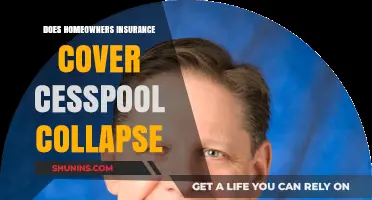 Homeowners Insurance: What About Cesspool Collapse Coverage?
