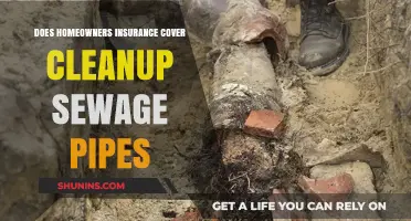 Homeowners Insurance: Sewage Pipe Cleanup Covered?