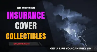 Home Insurance: Protecting Your Collectibles