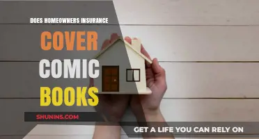 Protect Your Comic Books: Home Insurance Coverage