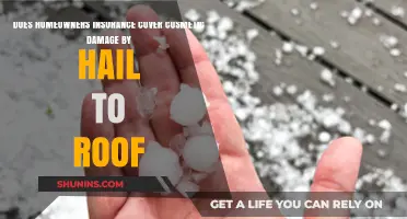 Homeowners Insurance: Hail Damage Roof Coverage?