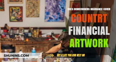 Protect Your Art: Understanding Home Insurance Coverage with Country Financial