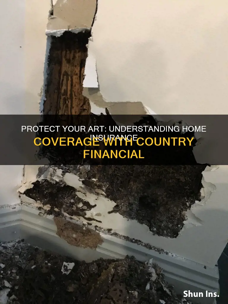 does homeowners insurance cover countrt financial artwork