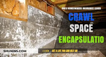 Homeowners Insurance: Crawl Space Encapsulation Covered?