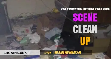 Crime Scene Clean-Up: Is Home Insurance Enough?