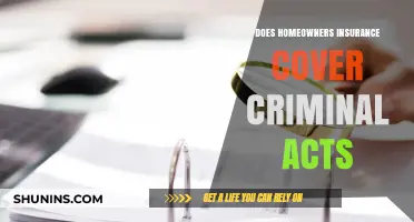 Criminal Acts: Are You Covered by Homeowners Insurance?