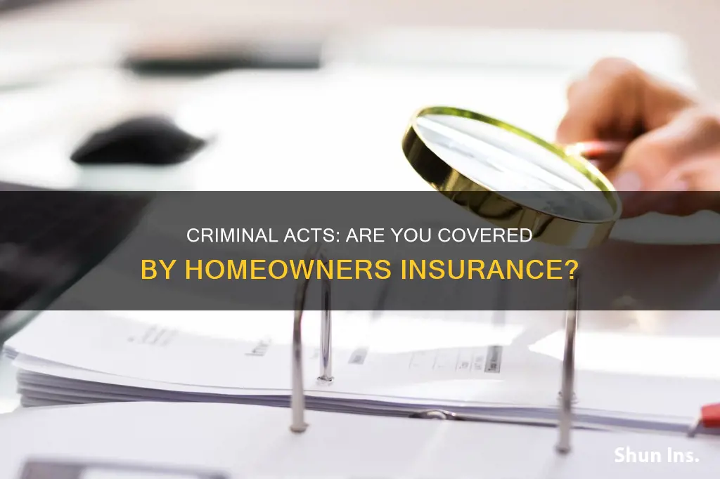 does homeowners insurance cover criminal acts