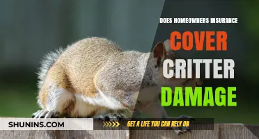 Critter Damage: Is Your Homeowners Insurance Enough?