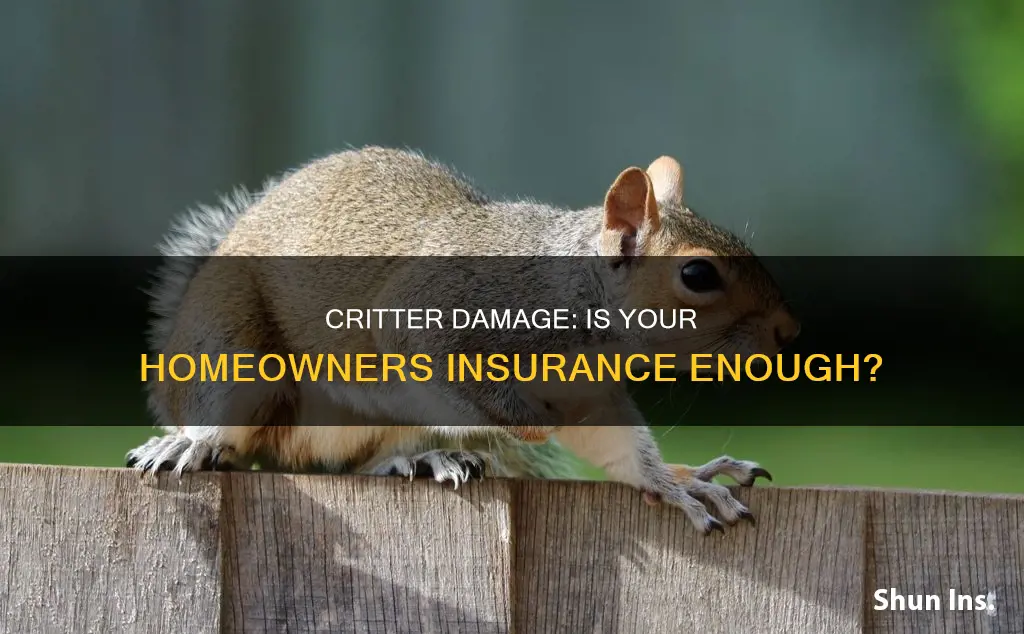 does homeowners insurance cover critter damage