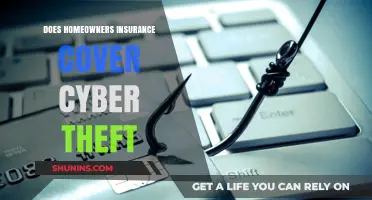 Home Insurance: Does It Protect You from Cyber Theft?