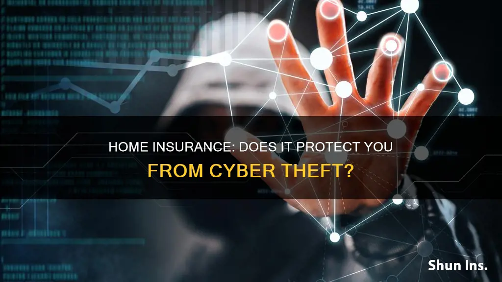 does homeowners insurance cover cyber theft