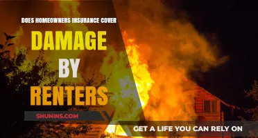 Home Insurance: Does it Cover Renter-Caused Damage?