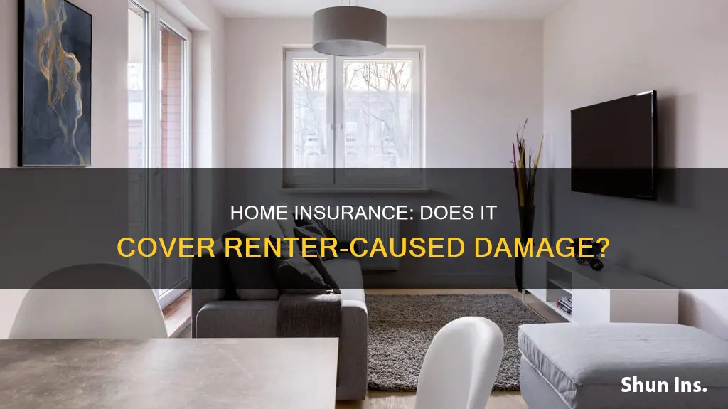 does homeowners insurance cover damage by renters