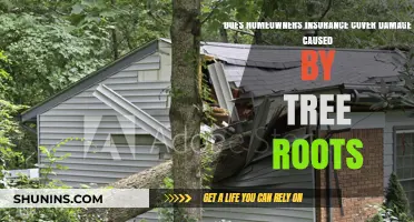 Homeowners Insurance: Tree Root Damage Covered?