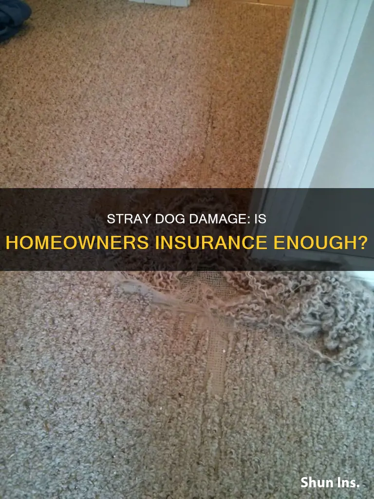 does homeowners insurance cover damage done by a stray dog