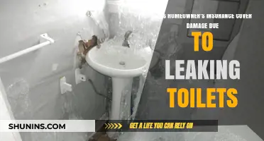 Homeowner's Insurance: Leaking Toilets and Coverage