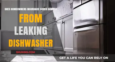 Home Insurance: Leaking Dishwasher Damage Covered?