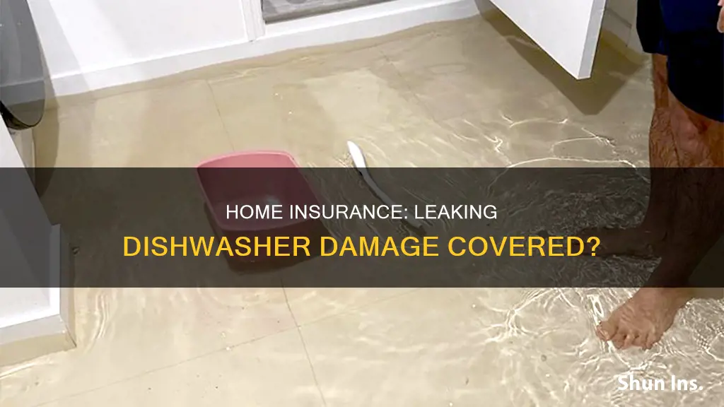 does homeowners insurance cover damage from leaking dishwasher