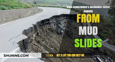 Homeowner's Insurance: Mudslides and Your Coverage
