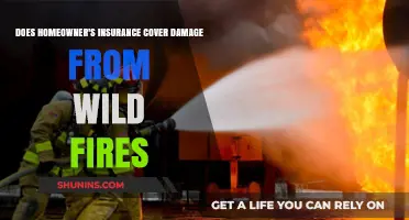 Homeowner's Insurance: Wildfire Damage Covered?