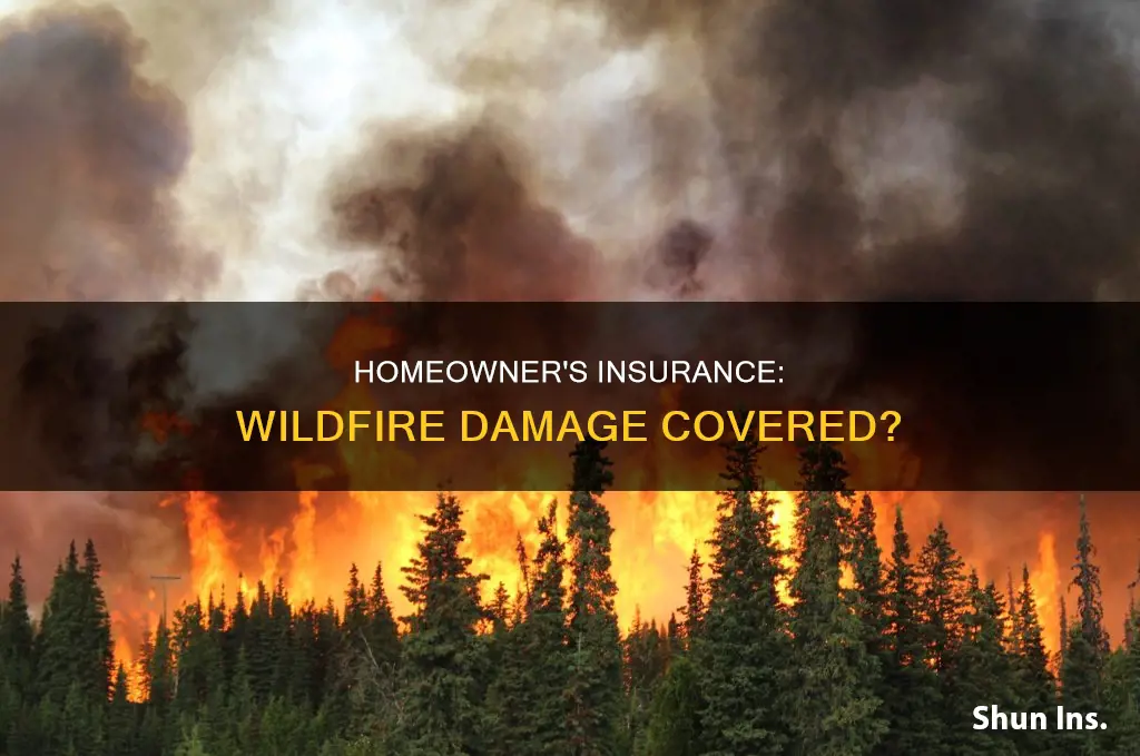 does homeowner